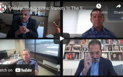 Transaction Options: Variety Is The Spice of Dealmaking