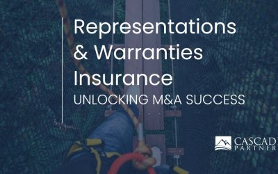 Representations and Warranty Insurance