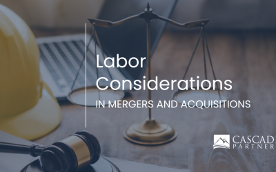 Labor Considerations in Mergers and Acquisitions
