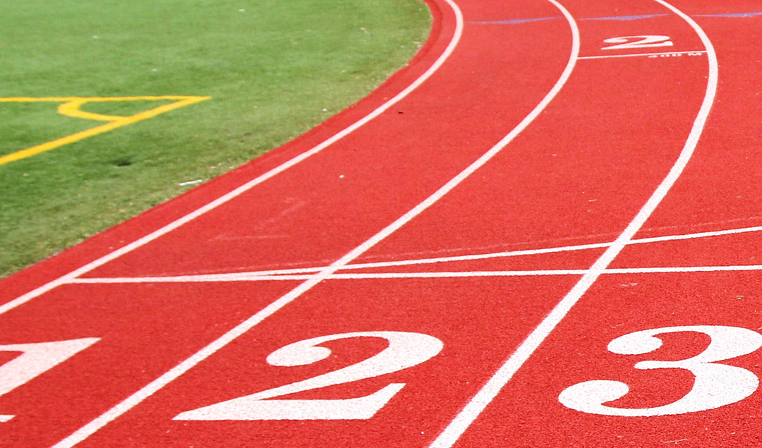Sports Construction Industry Market Update