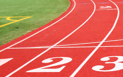 Sports Construction Industry Market Update